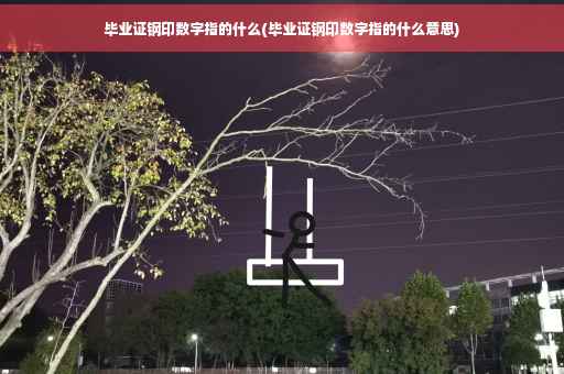 毕业证钢印数字指的什么(毕业证钢印数字指的什么意思)