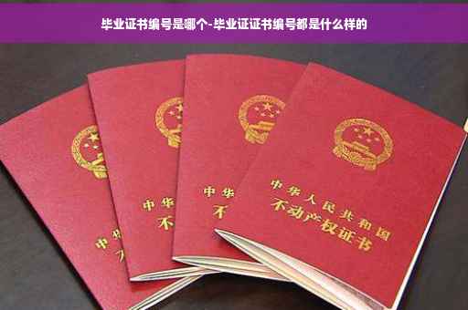 毕业证书编号是哪个-毕业证证书编号都是什么样的