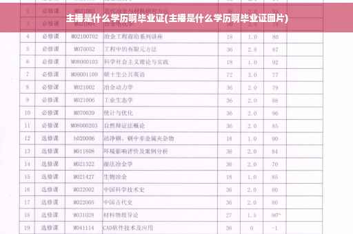 主播是什么学历啊毕业证(主播是什么学历啊毕业证图片)