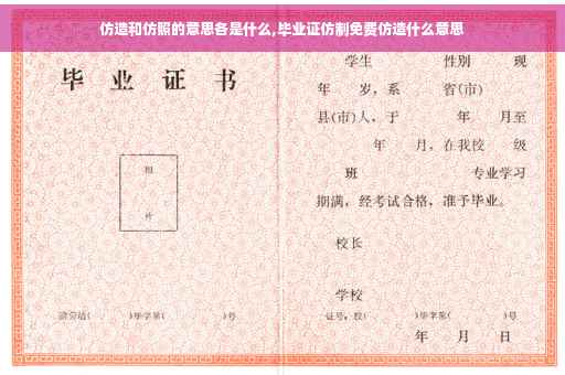 仿造和仿照的意思各是什么,毕业证仿制免费仿造什么意思