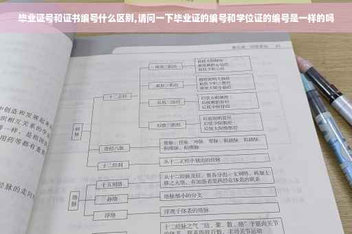 毕业证号和证书编号什么区别,请问一下毕业证的编号和学位证的编号是一样的吗
