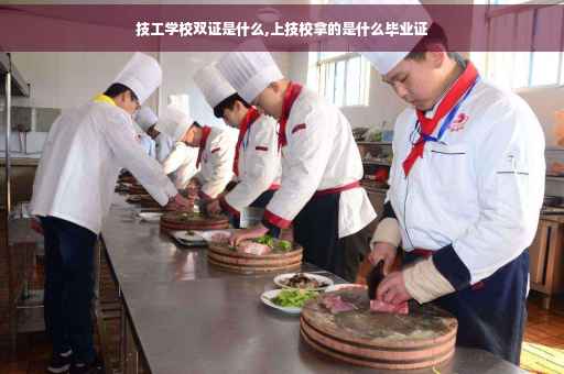 技工学校双证是什么,上技校拿的是什么毕业证
