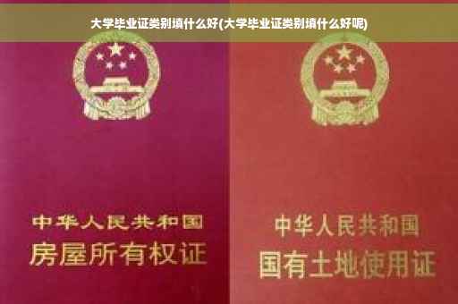 大学毕业证类别填什么好(大学毕业证类别填什么好呢)