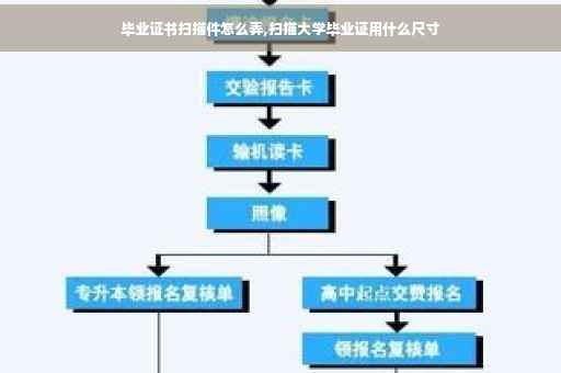 毕业证书扫描件怎么弄,扫描大学毕业证用什么尺寸