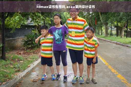 3dmax证书有用吗,acaa室内设计证书