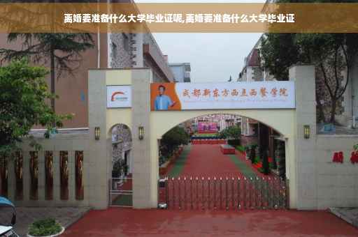 离婚要准备什么大学毕业证呢,离婚要准备什么大学毕业证