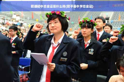 昭通初中毕业证是什么样(昭平县中学毕业证)
