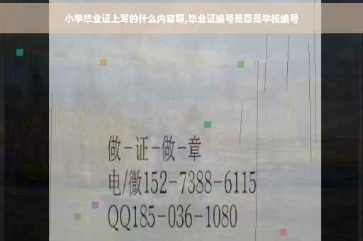 小学毕业证上写的什么内容啊,毕业证编号是否是学校编号