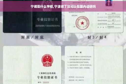 宁诺是什么学校,宁波诺丁汉可以在国内读研吗