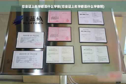 毕业证上名字都是什么字体(毕业证上名字都是什么字体啊)