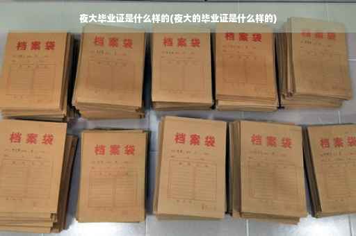 夜大毕业证是什么样的(夜大的毕业证是什么样的)