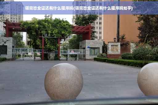 领完毕业证还有什么程序吗(领完毕业证还有什么程序吗知乎)