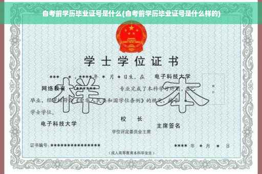 自考前学历毕业证号是什么(自考前学历毕业证号是什么样的)