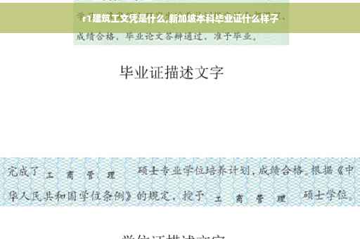 r1建筑工文凭是什么,新加坡本科毕业证什么样子