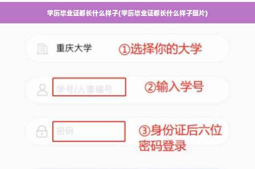 学历毕业证都长什么样子(学历毕业证都长什么样子图片)