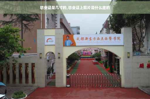 毕业证是几寸的,毕业证上照片是什么底的