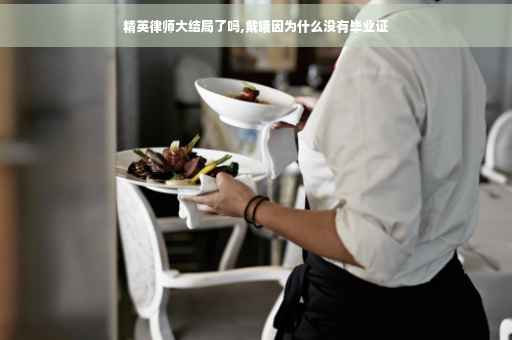 精英律师大结局了吗,戴曦因为什么没有毕业证