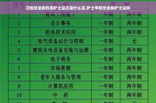 卫校毕业发的是护士证还是什么证,护士学校毕业有护士证吗