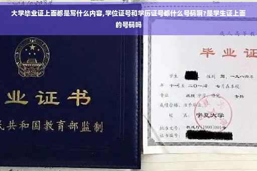 大学毕业证上面都是写什么内容,学位证号和学历证号都什么号码啊?是学生证上面的号码吗
