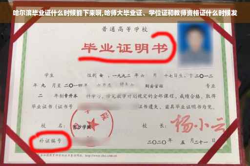哈尔滨毕业证什么时候能下来啊,哈师大毕业证、学位证和教师资格证什么时候发