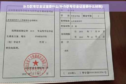 补办职专毕业证需要什么(补办职专毕业证需要什么材料)