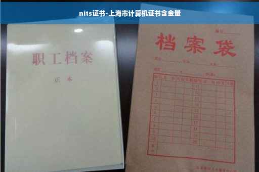nits证书-上海市计算机证书含金量