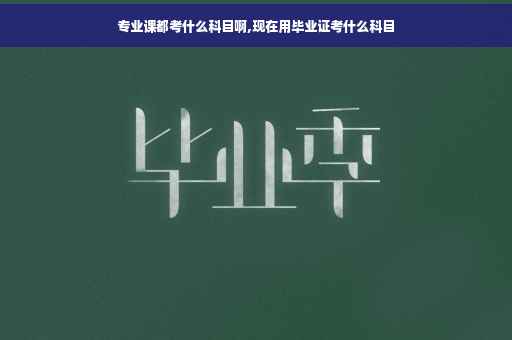 专业课都考什么科目啊,现在用毕业证考什么科目