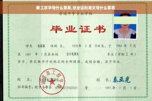教工农字号什么意思,毕业证批准文号什么意思