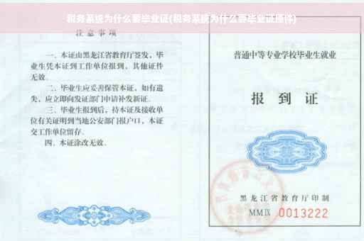 税务系统为什么要毕业证(税务系统为什么要毕业证原件)