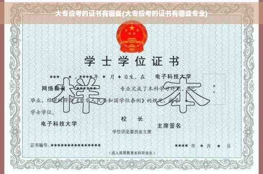 大专应考的证书有哪些(大专应考的证书有哪些专业)