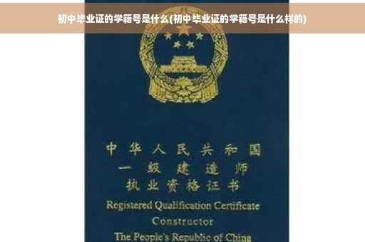 初中毕业证的学籍号是什么(初中毕业证的学籍号是什么样的)