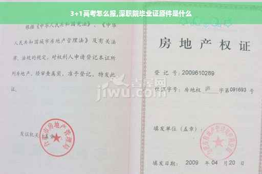 3+1高考怎么报,深职院毕业证原件是什么