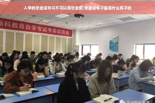 入学的毕业证书可不可以用毕业照,毕业证电子版是什么样子的