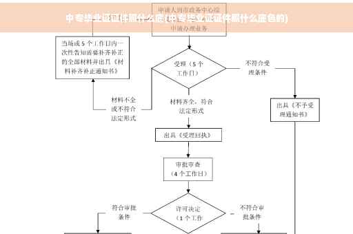 中专毕业证证件照什么底(中专毕业证证件照什么底色的)