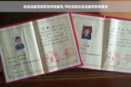 毕业证编号是否是学校编号,学位证和毕业证编号怎样查询