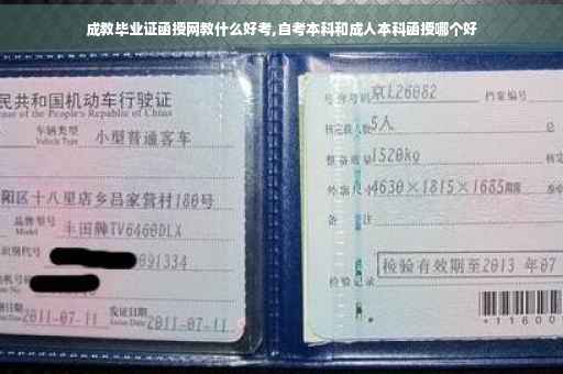 成教毕业证函授网教什么好考,自考本科和成人本科函授哪个好