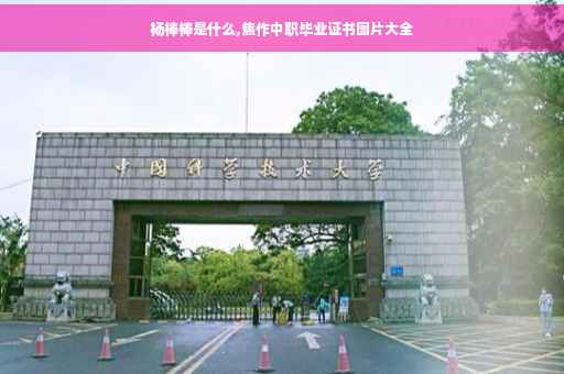 杨棒棒是什么,焦作中职毕业证书图片大全 杨棒棒是什么,焦作中职毕业证书图片大全