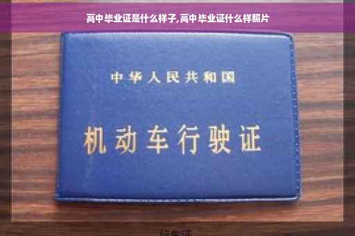 高中毕业证是什么样子,高中毕业证什么样照片