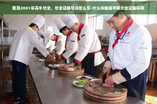 我是2001年高中毕业，毕业证编号该怎么写-什么叫编辑学院毕业证编码呢