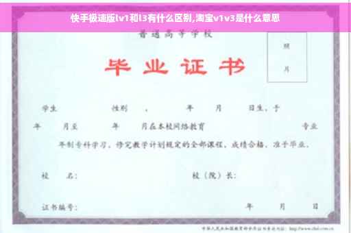 快手极速版lv1和l3有什么区别,淘宝v1v3是什么意思