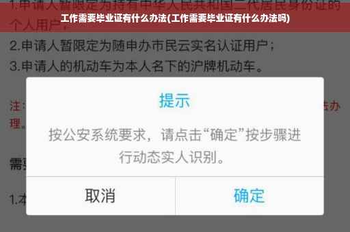 工作需要毕业证有什么办法(工作需要毕业证有什么办法吗)