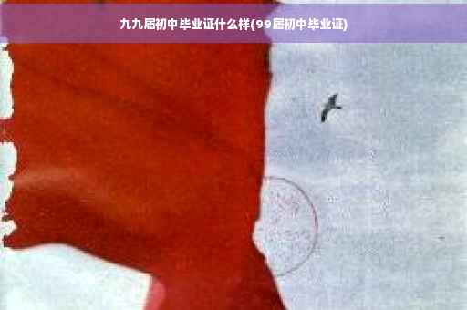 九九届初中毕业证什么样(99届初中毕业证)