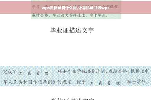 wps资格证有什么用,计算机证书选wps