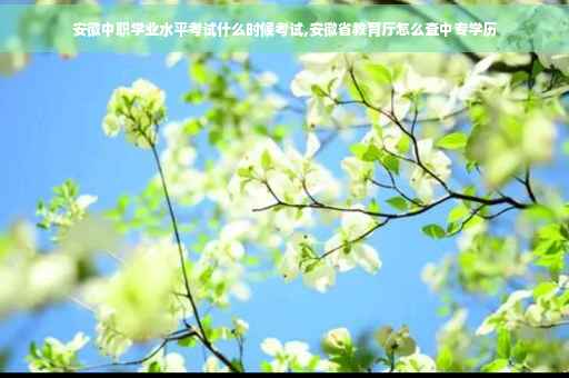 安徽中职学业水平考试什么时候考试,安徽省教育厅怎么查中专学历