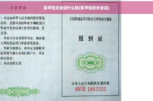 留学生毕业证什么样(留学生的毕业证)