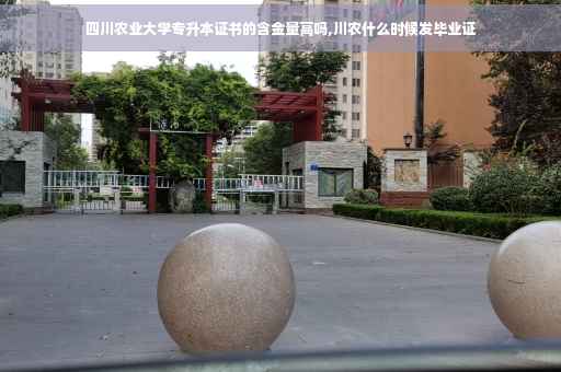 四川农业大学专升本证书的含金量高吗,川农什么时候发毕业证