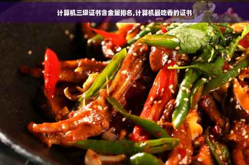 计算机三级证书含金量排名,计算机最吃香的证书