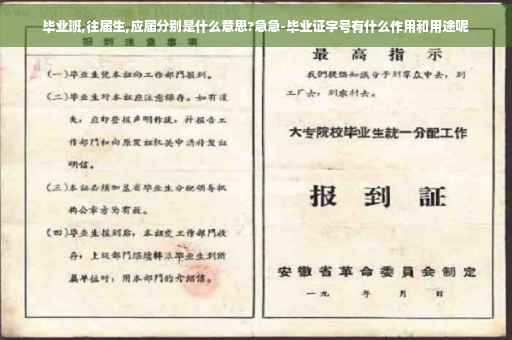 毕业班,往届生,应届分别是什么意思?急急-毕业证字号有什么作用和用途呢