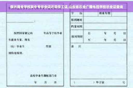 临沂商业学校发中专毕业证还是技工证,山东省农业广播电视学校毕业证查询