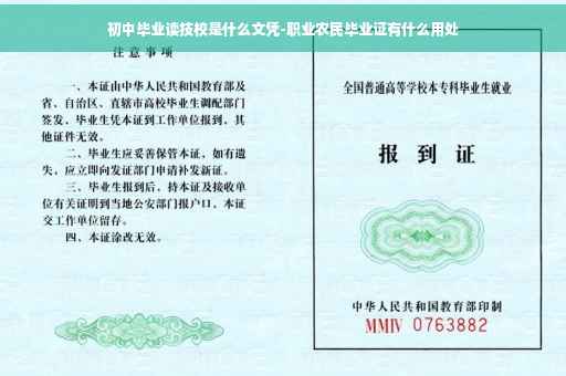 初中毕业读技校是什么文凭-职业农民毕业证有什么用处